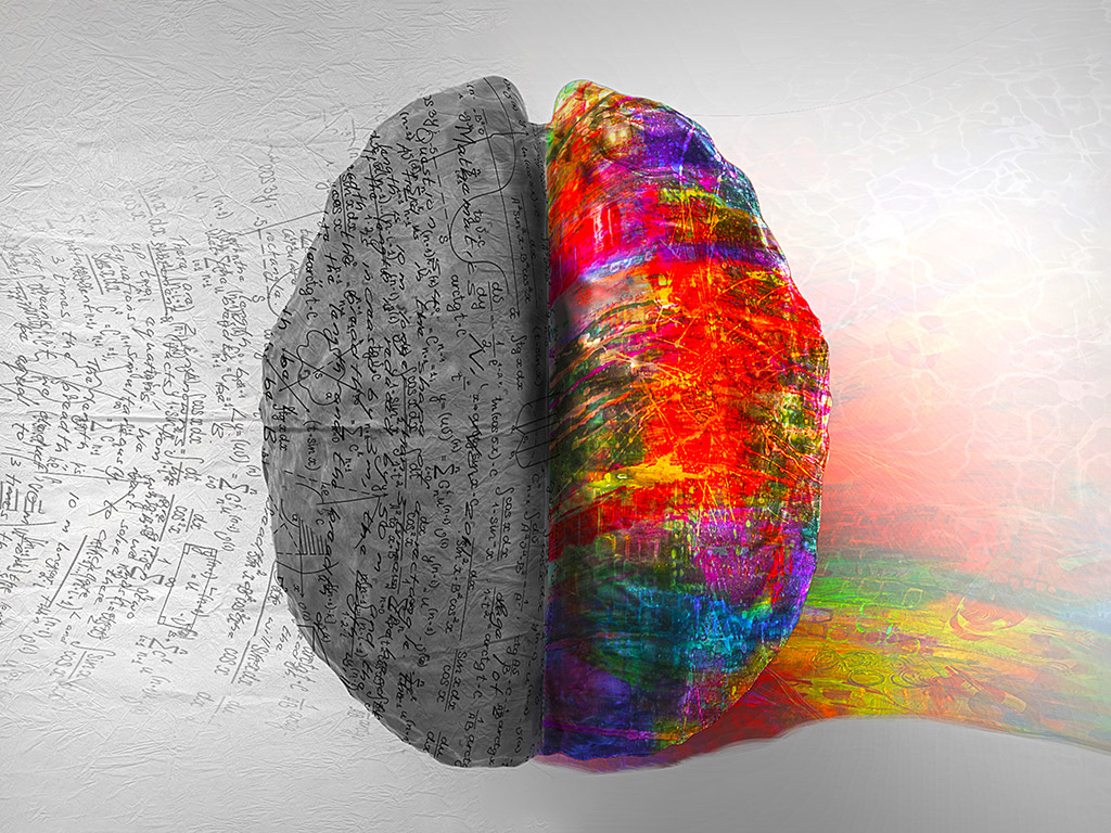 Brain split showing creative side and analytical side