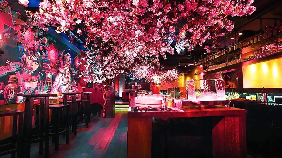 Cherry Blossom Tree Sprouts in Basement Bar